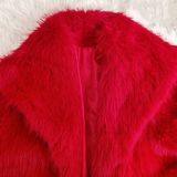 Faux Fur Collar Long Sleeve Short Jacket SH-391330