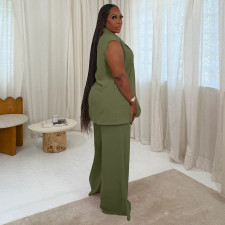 Plus Size Sleeveless Loose Two Piece Pants Set NNWF-8146