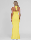 Solid Color Halterneck Sexy Backless Maxi Dress GQNF-Y00138DC
