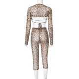 Leopard Mesh Print Long Sleeve Two Piece Pants Set GDSF-D24ST567
