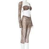 Leopard Mesh Print Long Sleeve Two Piece Pants Set GDSF-D24ST567