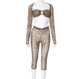 Leopard Mesh Print Long Sleeve Two Piece Pants Set GDSF-D24ST567