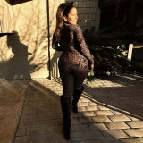 Leopard Print Long Sleeve Slim Jumpsuit SHD-9594