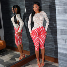 Lace Patchwork Polka Dot Print Backless Jumpsuit GZJQ-K25Q84564