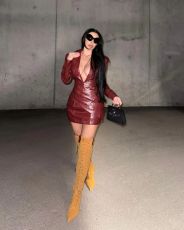 Deep V Neck Long Sleeve Leather Mini Dress GFCF-1420