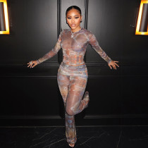 Print Long Sleeve See Through Two Piece Pants Set GSLF-K25S88792