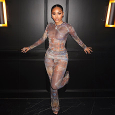 Print Long Sleeve See Through Two Piece Pants Set GSLF-K25S88792