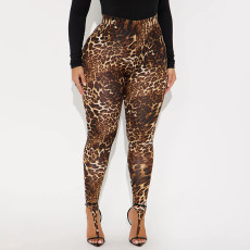 Leopard Print High Waist Tight Pants GDSF-J25PT470