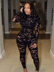 Pre Order: About 7 work days shipping Long Sleeve Hollow Out Jumpsuit YUEM-3008334