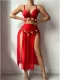 Exotic Belly Dance Costume Lingerie Set YQ-W902