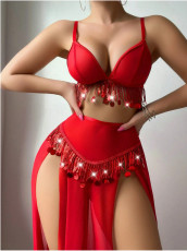 Exotic Belly Dance Costume Lingerie Set YQ-W902