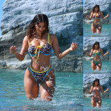 Leopard Color Block Bikinis 2 Piece Swimsuit CASF-6766