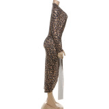 Leopard Print Deep V Neck Split Maxi Dress XEF-K25D76878