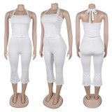 Backless Tie Up Halterneck Tank Tops Pants Suit GTYZ-7542