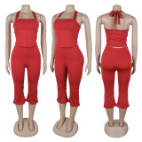 Backless Tie Up Halterneck Tank Tops Pants Suit GTYZ-7542