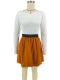 Solid Color Long Sleeve Tops Two Piece Skirts Set ZDF-31390