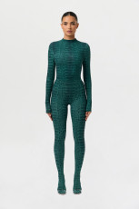 Snake Print Long Sleeve Tight Jumpsuit SHD-9954