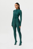 Snake Print Long Sleeve Tight Jumpsuit SHD-9954