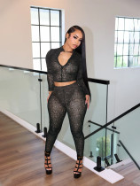 Long Sleeve Zipper Tight Two Piece Pants Set SFY-831