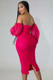 Plus Size Mesh Long Sleeve Midi Dress GHXF-HX0204