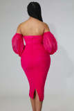Plus Size Mesh Long Sleeve Midi Dress GHXF-HX0204