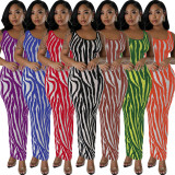Zebra-Print Sleeveless Maxi Dress QHMD-3146