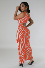 Zebra-Print Sleeveless Maxi Dress QHMD-3146
