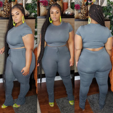 Plus Size Short Sleeve Solid Color Two Piece Pants Set OSIF-20735