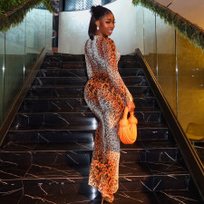 Leopard Print Long Sleeve Maxi Dress GJYO-303896