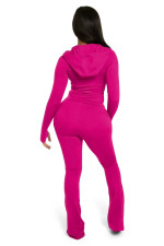 Solid Color Hooded Zipper Two Piece Pants Set YD-YD8838-C10