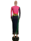 Elegant Mesh Long Sleeve Maxi Dress QODY-6054
