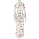 Print Long Sleeve Ruched Ruffles Maxi Dress GJYO-303710