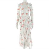 Print Long Sleeve Ruched Ruffles Maxi Dress GJYO-303710