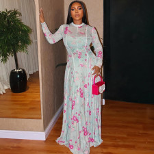 Ruched Print Long Sleeve Maxi Dress GJYO-303706