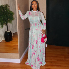 Ruched Print Long Sleeve Maxi Dress GJYO-303706