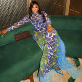 Print Long Sleeve High Collar Maxi Dress GJYO-302707