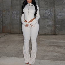 Long Sleeve Zipper Solid Two Piece Pants Set GJYO-919089