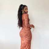 Long Sleeve Print Bodycon Dress GJYO-296806