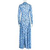 Long Sleeve Print High Collar Maxi Dress GJYO-303028