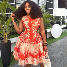 Sleeveless Print Mini Dress GJYO-302593