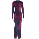 Long Sleeve Print O Neck Maxi Dress GJYO-759780