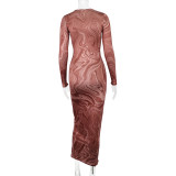 Long Sleeve Print Bodycon Dress GJYO-296806
