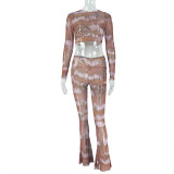 Long Sleeve Mesh Print Tops Two Piece Pants Set GJYO-919102