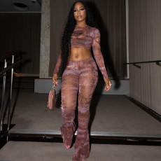 Long Sleeve Mesh Print Tops Two Piece Pants Set GJYO-919102