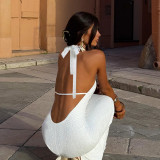 Solid Color Sleeveless Backless Maxi Dress FL-25234