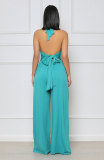 Solid Color Halterneck Backless Jumpsuit XHXF-8649