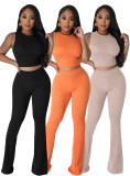 Solid Color Sleeveless Two Piece Pants Set FENF-5001