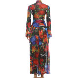 Long Sleeve Print Mesh Maxi Dress GZJQ-K6S00285A
