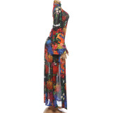 Long Sleeve Print Mesh Maxi Dress GZJQ-K6S00285A