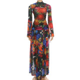 Long Sleeve Print Mesh Maxi Dress GZJQ-K6S00285A